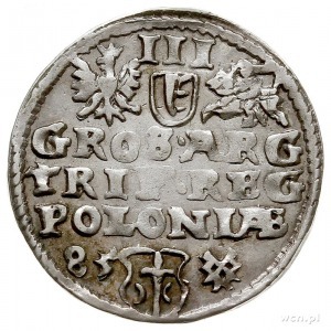 trojak 1585, Poznań, mała głowa króla i napis wokoło ST...