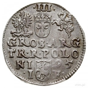 trojak 1595, Olkusz, Iger O.95.1.c (R1)