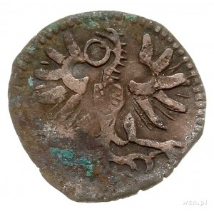 denar 1589, Wschowa, Aw: Orzeł, Rw: Herb Wschowy i data...