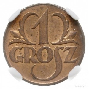 1 grosz 1923, Kings Norton, Parchimowicz 101.a, moneta ...