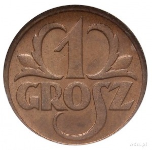 1 grosz 1930, Warszawa, Parchimowicz 101.e, moneta w pu...