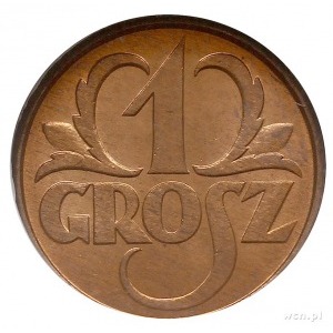 1 grosz 1931, Warszawa, Parchimowicz 101.f, moneta w pu...