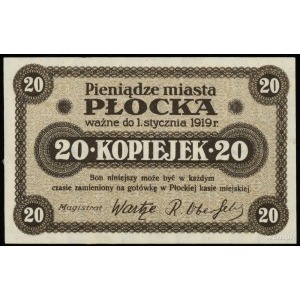 Płock- miasto, 20 i 50 kopiejek, ważne do 1.01.1919, Po...