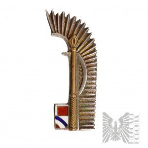PASnZ - Abzeichen der 305. Bomberstaffel der Region Großpolen