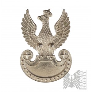 PSZnZ Fusilier Eagle Bialkiewicz