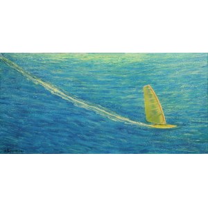 Grzegorz ŚMIGIELSKI (geboren 1960), Windsurfen, 2005