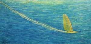 Grzegorz ŚMIGIELSKI (ur. 1960), Windsurfing, 2005