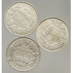 Korunová měna, 1 K 1894-1896 KB