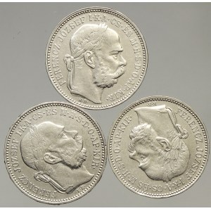 Korunová měna, 1 K 1894-1896 KB