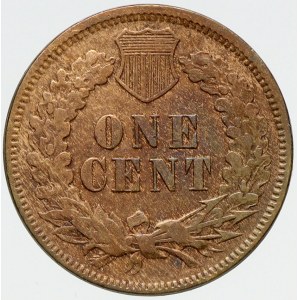 USA, 1 cent 1875