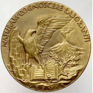 Ostatní medaile, Medaile časopisu VESMÍR