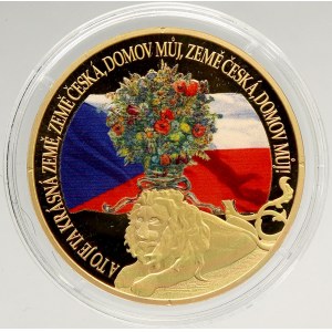 Ostatní medaile, Česká národní hymna