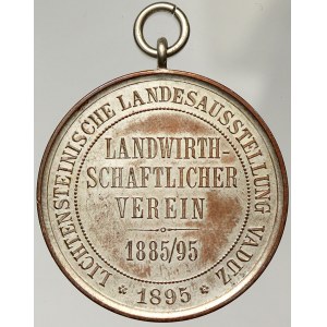 Liechtenstein, Zemská výstava Vaduz 1895 - Za zásluhy