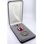 USA, Medaile za zásluhy (MSM)