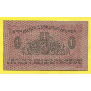 ČSR 1919 - 1938, 1 Kč 1919, s. 254. H-7a