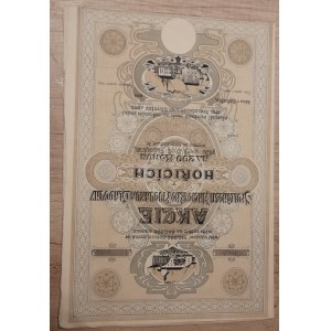 Akcie, Akcie pivovaru a sladovny v Hořicích na 200 K (cca 1917), formulář. Píša-PA0118