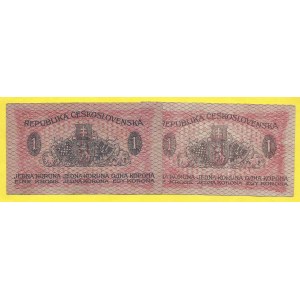 soubory bankovek, 1 Kč 1919, s. 039, 070. H-7a