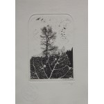 Zbigniew Janeczek, Collection of 15 exlibrises