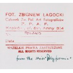 Zbigniew Łagocki (ur. 1927, Lwów), Z cyklu Polyformia, 2 poł. XX w.