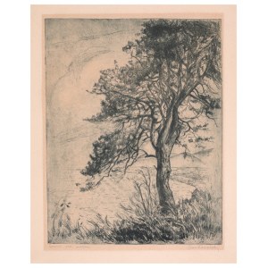 Leon Kowalski (1870-1937), Pine by the Sea