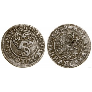Polska, szeląg, 1529, Toruń