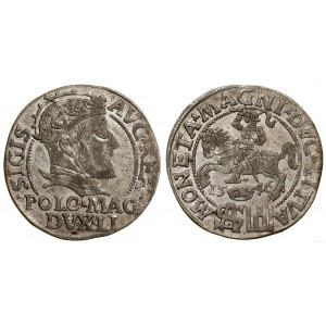 Polen, Pfennig, 1546, Vilnius