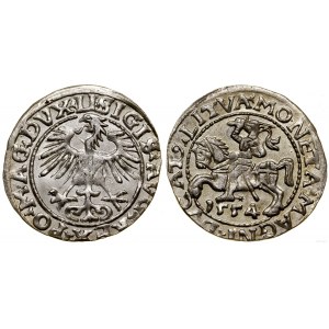 Polen, halber Pfennig, 1554, Vilnius