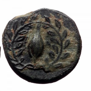 Aeolis, Elaia, AE, (Bronze, 1.29 g 11mm), Circa 4th Century BC.