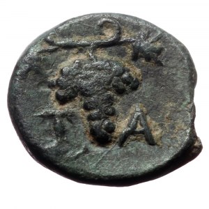 Aeolis, Temnos. Ae,(Bronze, 1.53 g 12mm), 4th century BC.