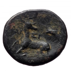 Ionia, Ephesos as Arsinoeia, AE,(Bronze, 3.97 g 1mm), Circa 290-281 BC.