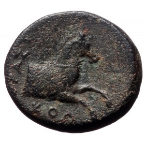 Ionia, Kolophon,AE,(Bronze, 2.20 g 13mm), Circa 360-340 BC. Pasik, magistrate