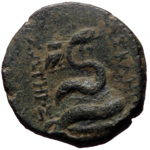 Mysia, Pergamon.AE,(Bronze, 7.40 g, 21mm), Circa 133-27 BC.