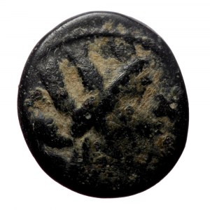 Phrygia, Apameia, Civic issue (133-48 BC) AE (Bronze, 17 mm, 3.68g) magistrate Pankr., son of Zeno.