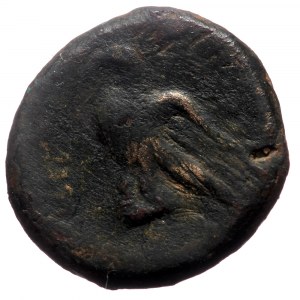 Kings of Commagene. Mithradates II (ca 34-20 BC) Dichalkon (Bronze, 17mm, 5.10), Laodikeia...