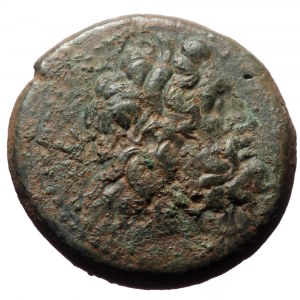 Ptolemaic Kings of Egypt, Ptolemy III Euergetes, AE,(Bronze, 18.36 g 20mm), 246-222 BC. Paphos.
