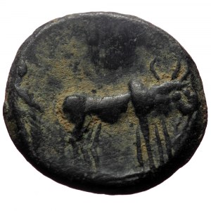 Macedonia, Philippi? Tiberius. AE. (Bronze, 2.69 g. 17mm.) 14-37 AD.