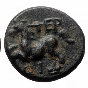 Lycia, Termessus by Oenoanda. Tiberius (Augustus, 14-37) AE. (Bronze, 4.29 g. 18mm.) 14-37 AD