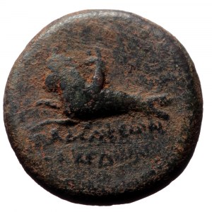 Lydia, Philadelphia. Caligula. AE. (Bronze, 4.50 g. 18mm.) 37-41 AD. Magistrate, Makedon, philokaisar.