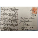 Pocztówka - Kudowa Zdrój - Willa Królowej Luizy [1919]