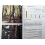 Kolektivní práce - Lesy Přísné rezervace Bělověžského národního parku