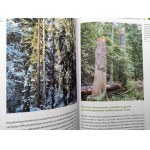 Kolektivní práce - Lesy Přísné rezervace Bělověžského národního parku