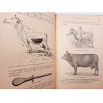 Dr. Steuert L. - Príručka veterinárnej medicíny - Domáce zvieratá v zdraví a chorobe - Poznaň 1923