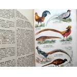 Dr. Kurt Lampert - Ptáci - Atlas stavu zvířat - Varšava [Oprawa B. Zjawiński].
