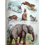 Dr. Kurt Lampert - Suckling Animals - Atlas of the Animal State - Warsaw [Opened by B. Zjawinski ].