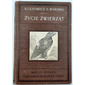 Prof. Wyrobek - VÖGEL - Tierleben - Berlin / Wien ca. 1912