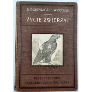 Prof. Wyrobek - PTAKI - Życie zwierząt - Berlin / Wiedeń ok. 1912