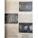 Przegląd Hodowlany - illustrierte Monatszeitschrift - gewidmet der Theorie und Praxis der Haustierzucht - Warschau Juli 1936