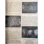 Przegląd Hodowlany - ilustrovaný mesačník - venovaný teórii a praxi chovu domácich zvierat - Varšava júl 1936