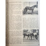Przegląd Hodowlany - illustrierte Monatszeitschrift - gewidmet der Theorie und Praxis der Haustierzucht - Warschau Oktober 1936