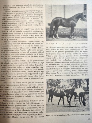 Przegląd Hodowlany - a monthly illustrated magazine - devoted to the theory and practice of breeding domestic animals - Warsaw October 1936